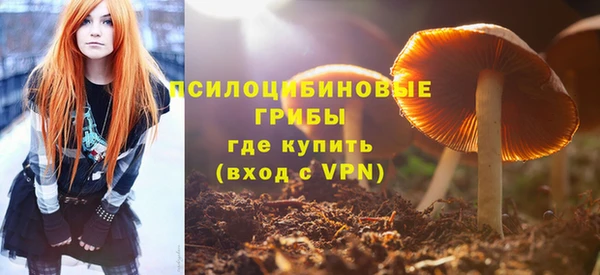 2c-b Алексин