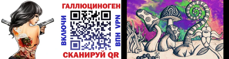 Псилоцибиновые грибы Psilocybe Ветлуга