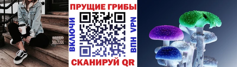 наркошоп  Ветлуга  Псилоцибиновые грибы Cubensis 